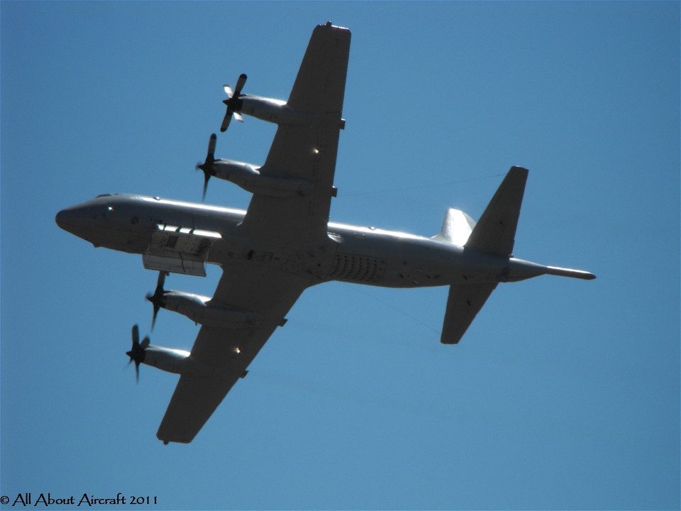 Lockheed C-130 Hercules