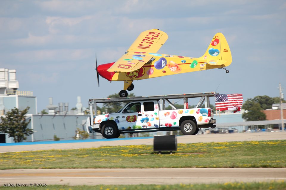 Interstate Cadet Jelly Belly, NC37428