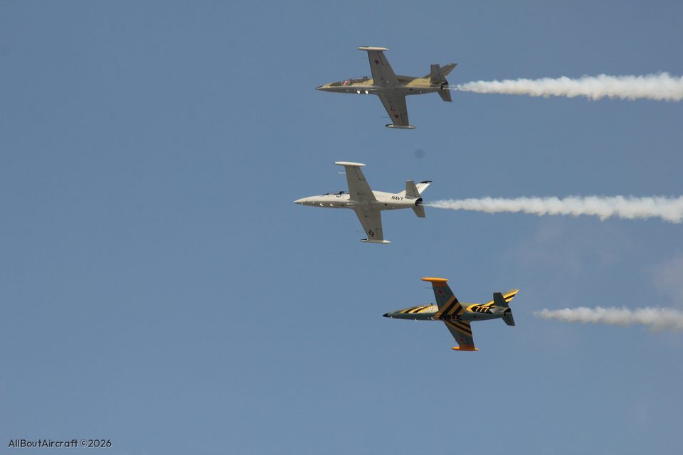 L-39 Albatros formation